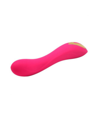 Vibromasseur rose 10 programmes USB 